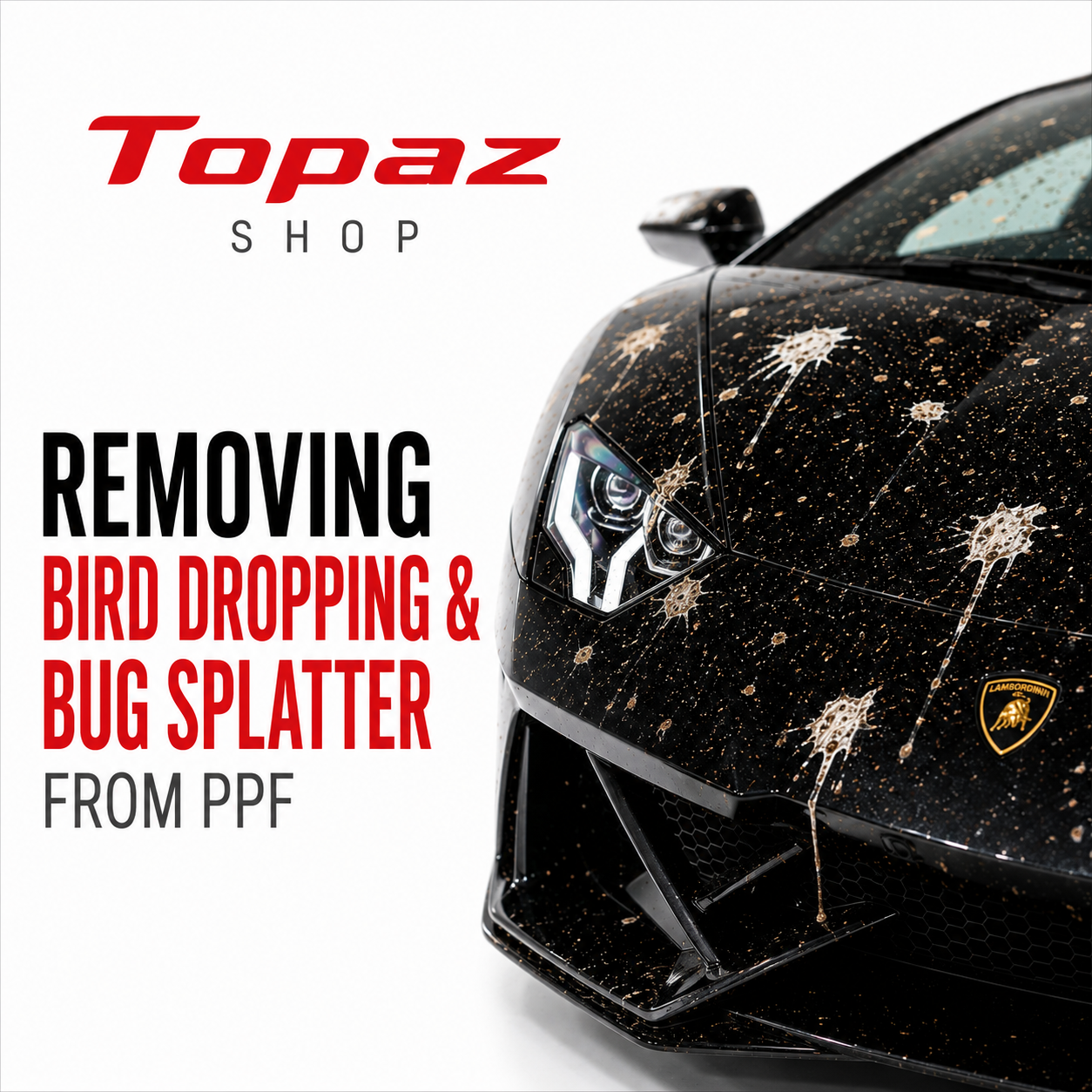 How to Remove Bird Droppings and Bug Splatter From PPF